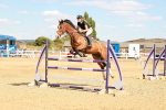 SBM_007491