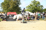 SBM_39367
