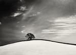 Gentle Curve