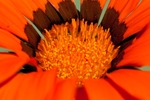 20110603-IMG_4526
