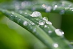 Beaucoup Bokeh