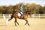 SBM_008978