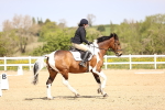 SBM_007904