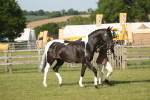 SBM_10474