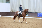SBM_001811
