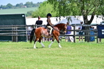 SBM_13867