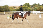 SBM_009845