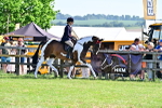 SBM_11733
