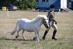WJ6_4529