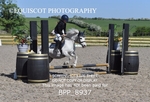 BPP_8937