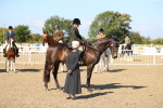 SBM_02311