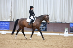SBM_003381