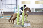 SBM_000919