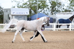 SBM_02440