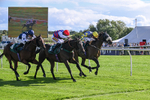 080926-Race 4-Kings Merchant-2517