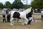 WJ6_8356