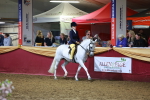SBM_15886