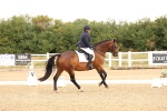 SBM_000242
