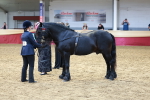 SBM_17481