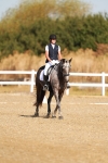SBM_016580
