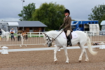 SBM_00155