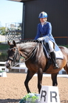 Cls 11 Freestyle PSG Young Rider BRONZE portfolio