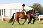 JPP_0920