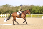SBM_008058