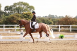 SBM_016866