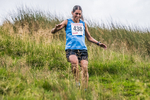 Steel Fell-796