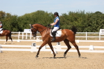 SBM_002864