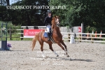BPP_3822