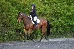 WJ5_8751