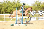 SBM_002986