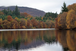 Autumn at Pitlochry