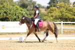 SBM_003972