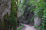 Piatra Craiului Mountains, Brașov County, Romania