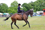 SBM_02870