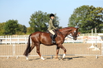 SBM_02171