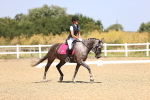 SBM_010368