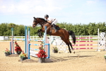 SBM_005231