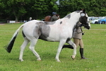 SIAL2894