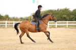 SBM_007310