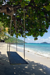 Swinging in the Caribbean