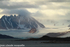 Huge glacier on the west coast .