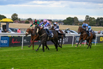 160926-Race 7-Star Suepreme-1855