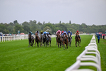 200826-Race 3-The Lost King-3325