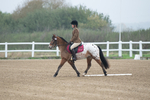 SBM_003402