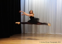 Performance portfolio