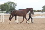 SBM_07856